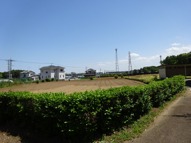 10002画像