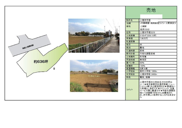 10006画像