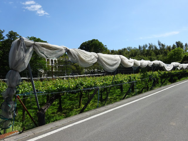 伊奈町小室　売地