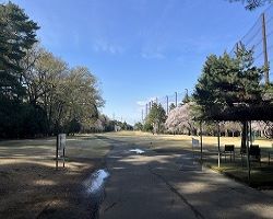 アクティブプレイス（上尾市）｜有限会社ラビットホーム