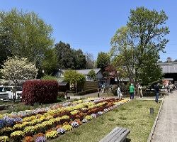 桶川市公共施設写真｜有限会社ラビットホーム