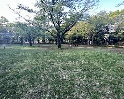 桶川市公園施設写真
